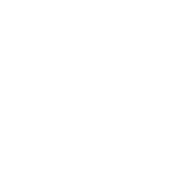 LOGO_TOP